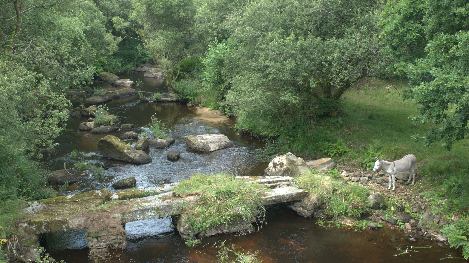 Ancien pont au lieu-dit Ellez à Loqueffret (29)