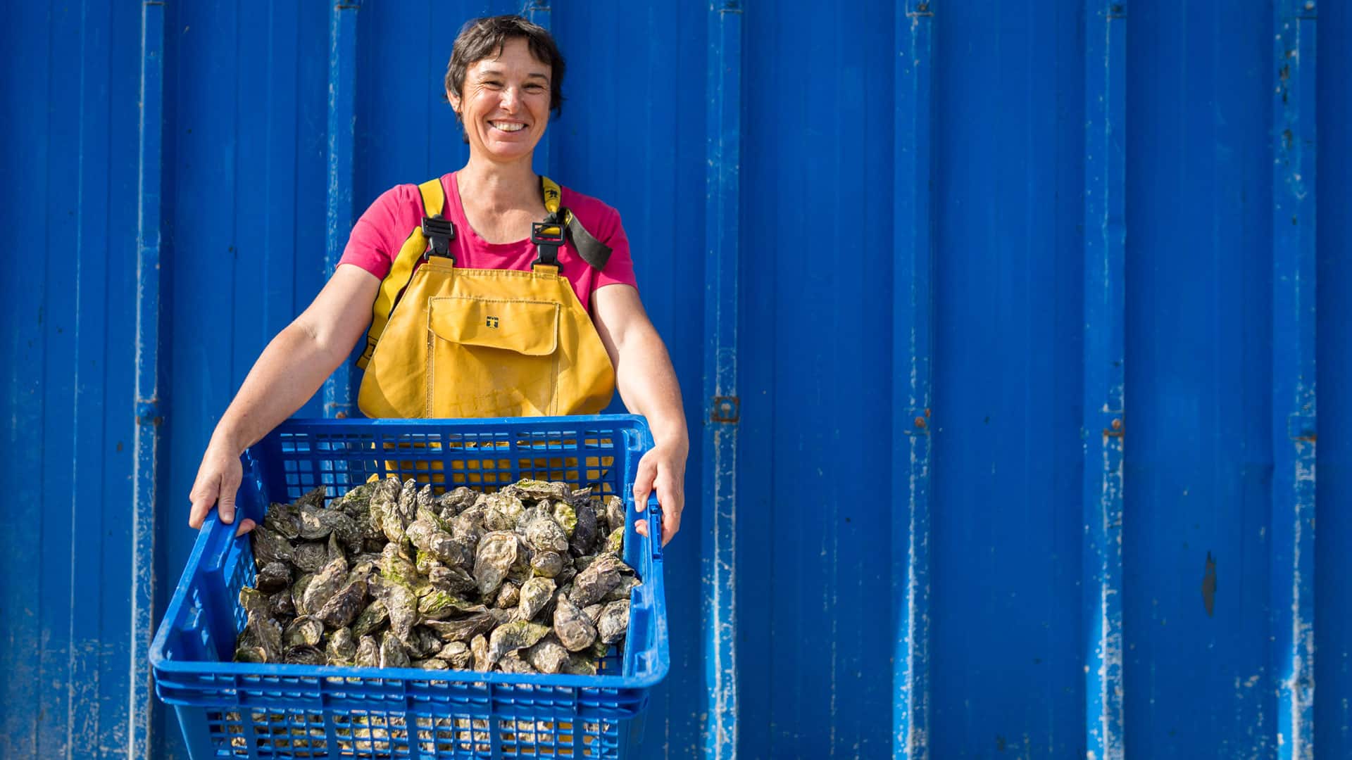 Comment recycler les coquilles d'huîtres au jardin ?