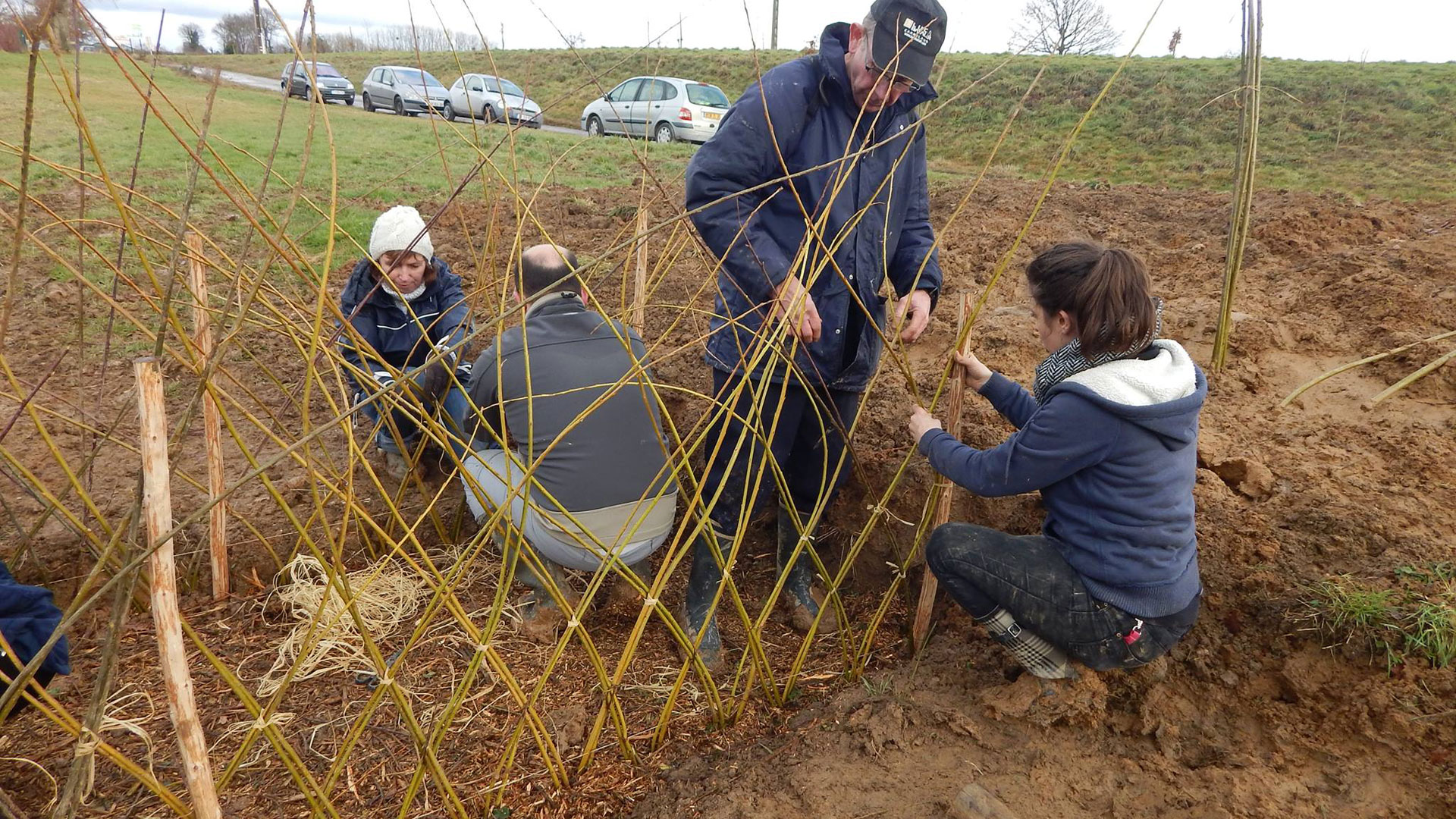 Adelaïde Fiche_Transition_environnement_territoire_Le jardin des Mille Ruisseaux à Bréteil