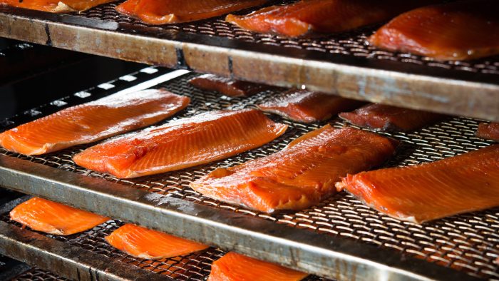 tranches de saumon séchant sur des grilles