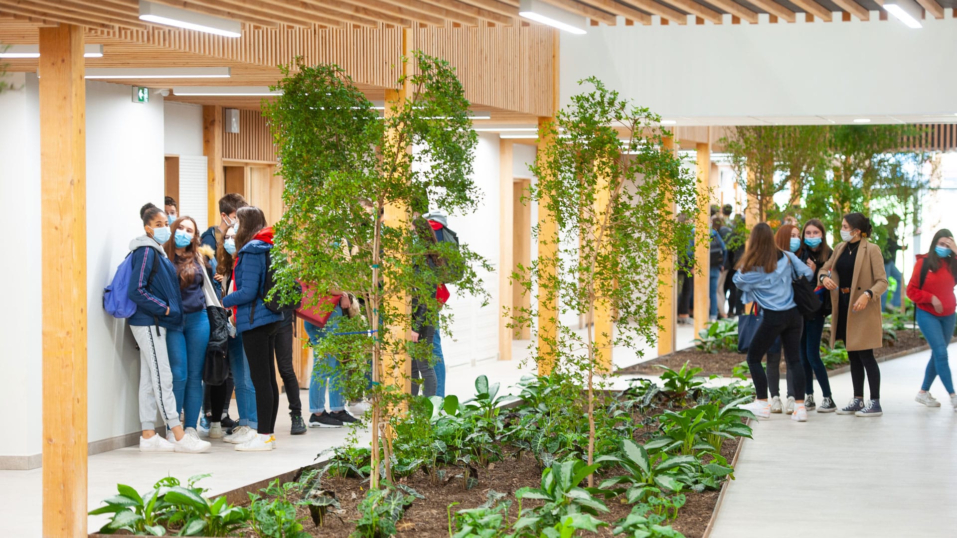 Lycéens à l'intérieur en bois du lycée Simone-Veil