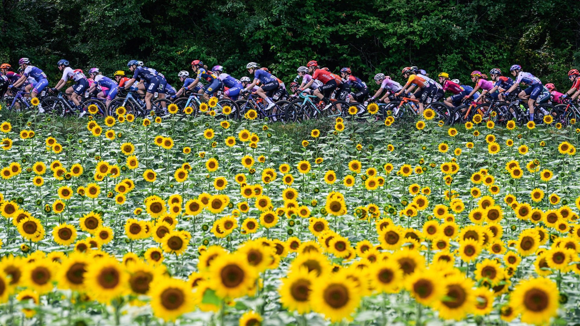 Cyclistes du tour de France