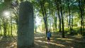 La fôret de Broceliande