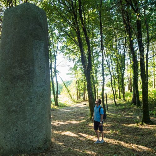 Homme dans la fôret de Broceliande