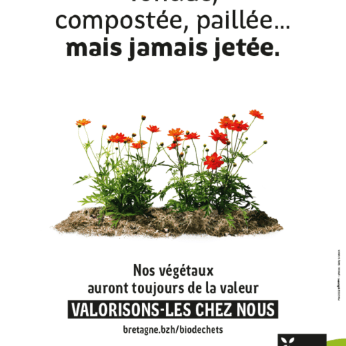 Affiche de la campagne Biodéchets 2022, présentant une plante-bande de fleurs dont le sol est couvert de tonte de pelouse