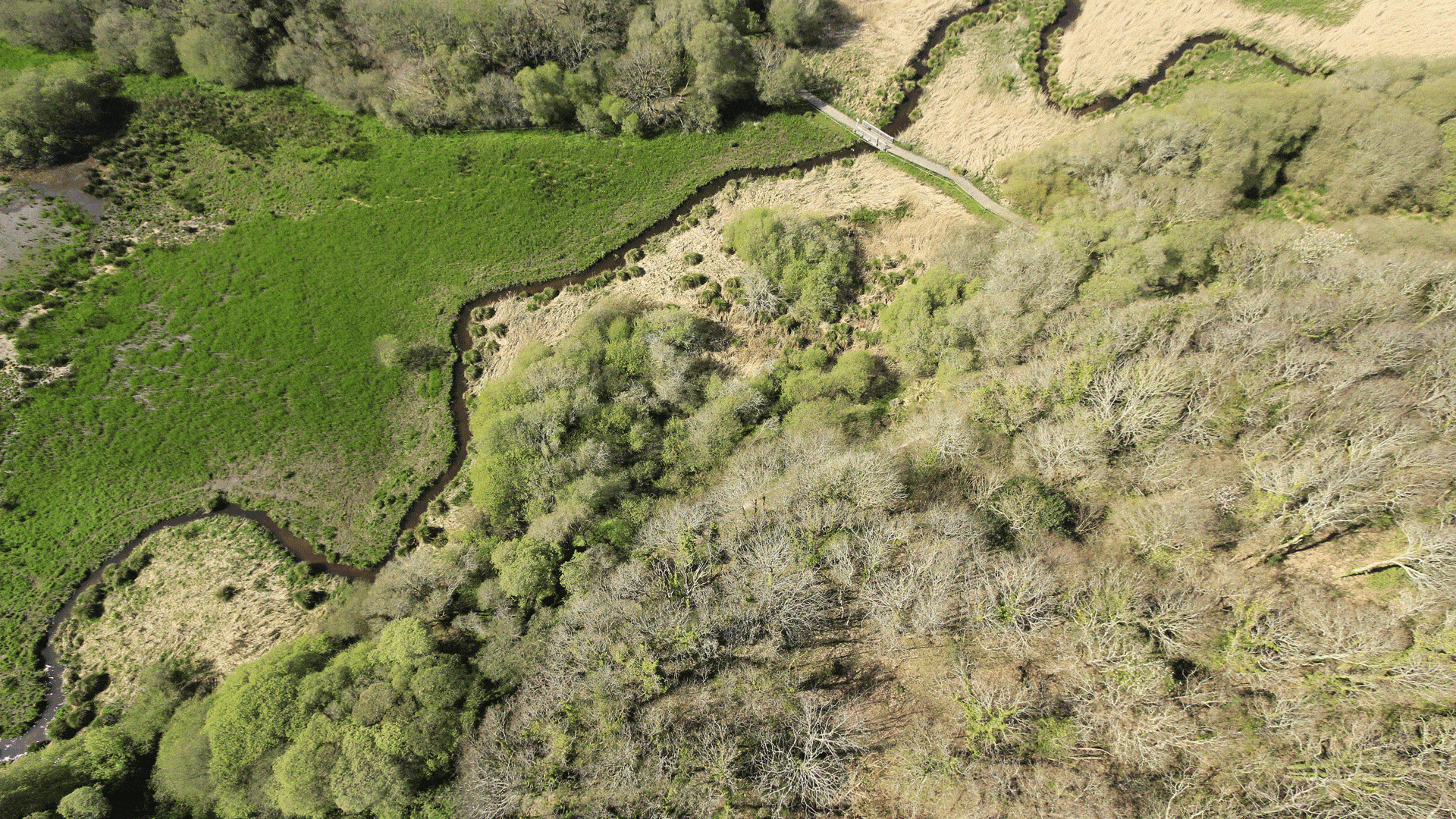 Vue aérienne de la Réserve naturelle régionale du Petit et Grand Loc'h