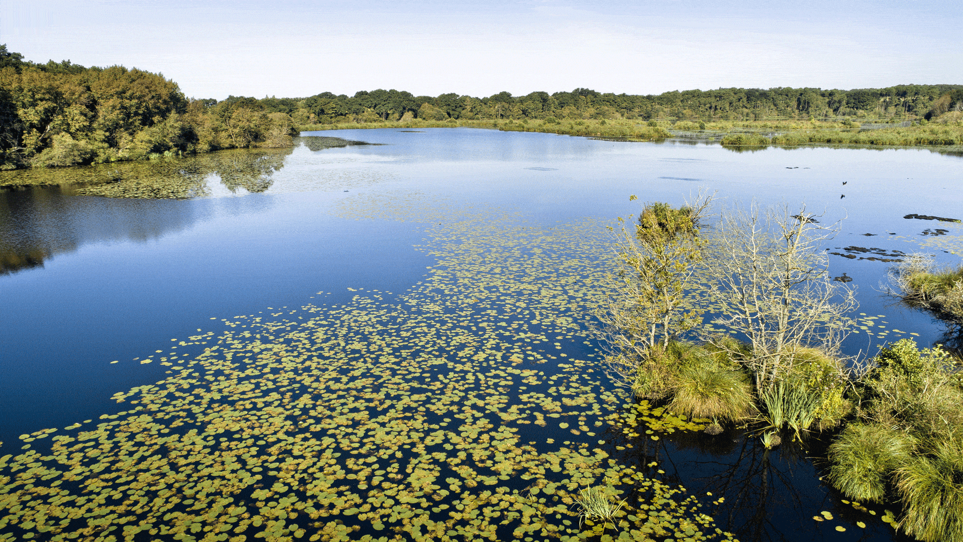 Vue de la Réserve naturelle régionale du Pont de Fer