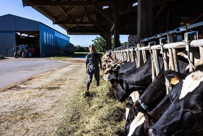 Un jeune agriculteur dans une exploitation laitière