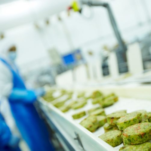 Chaîne de production agroalimentaire de l'entreprise Cité Marine
