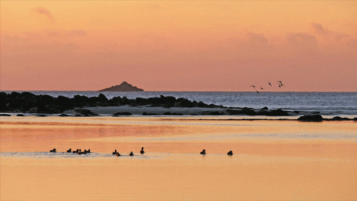 Vue sur les dunes et marais littoraux Guisseny