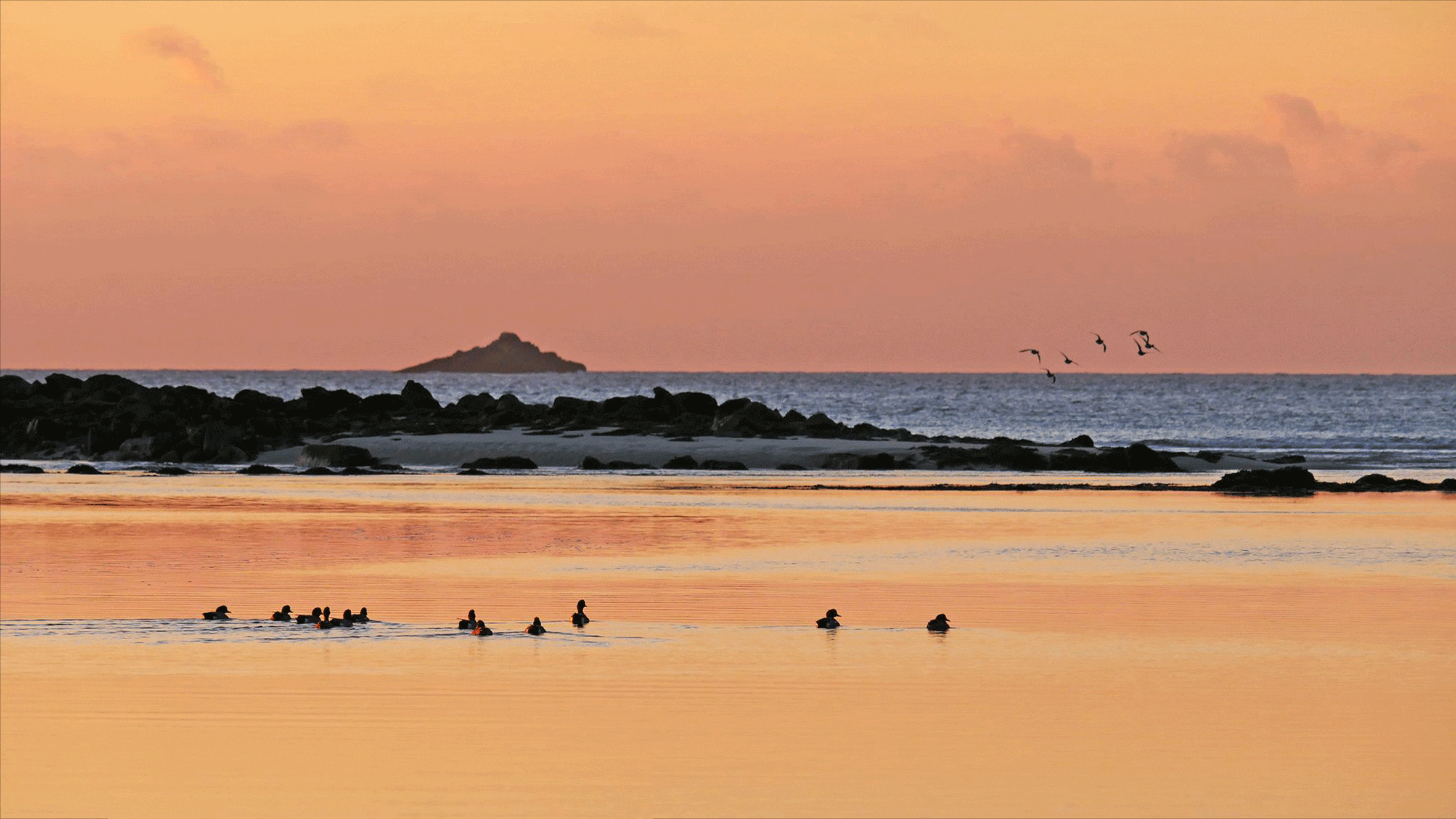 Vue sur les dunes et marais littoraux Guisseny