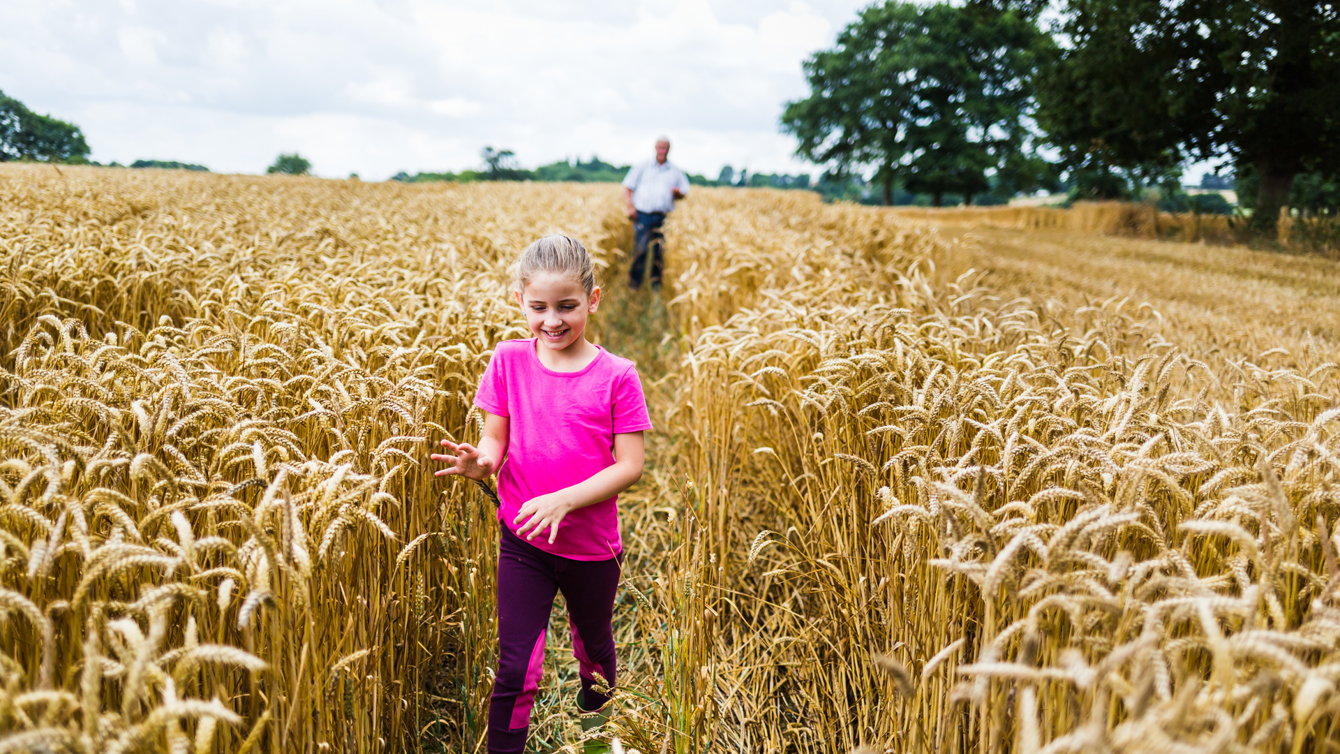 Petite fille dans un champ de blé