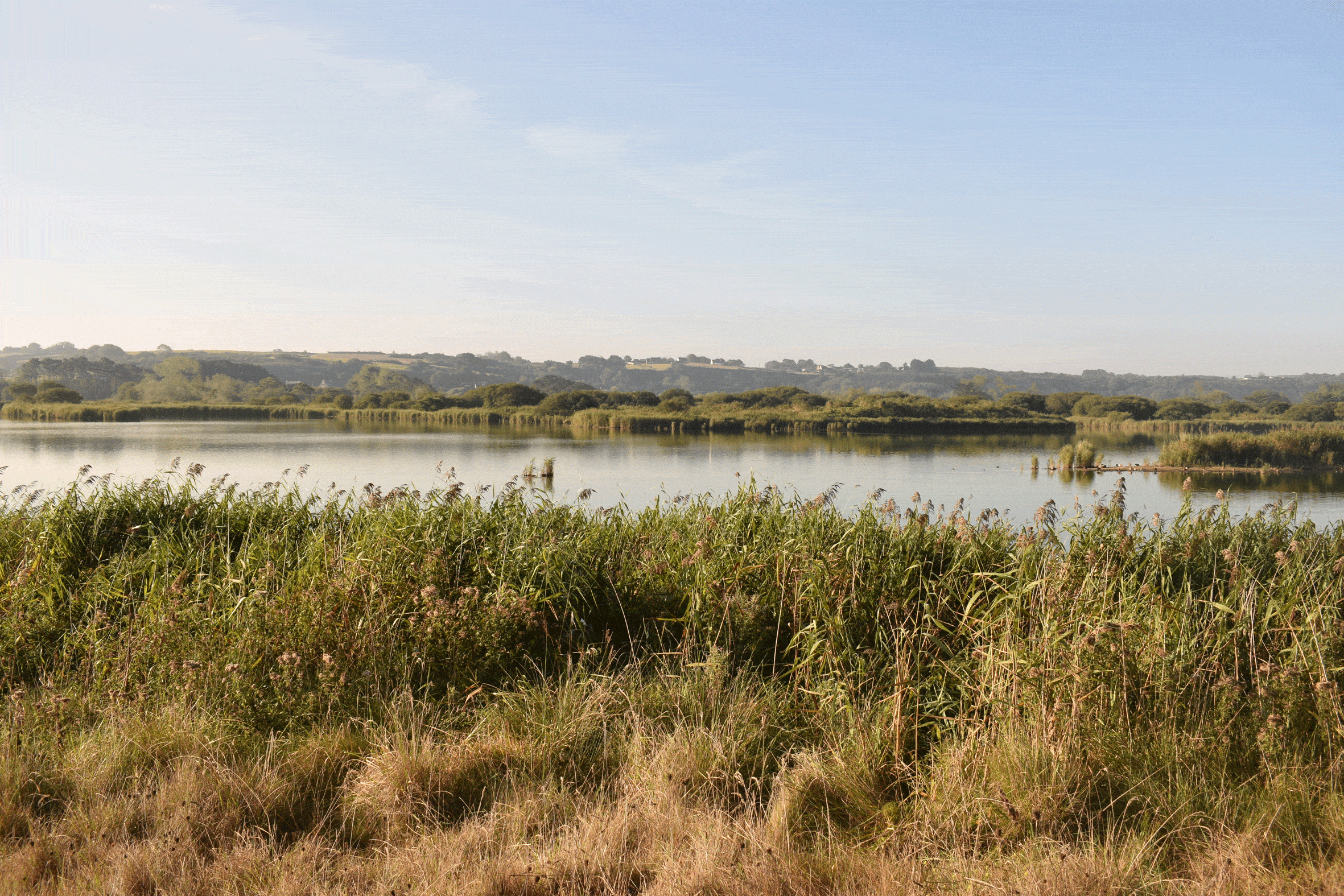 Vue sur les dunes et marais littoraux Guisseny