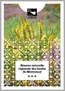 RNR_Monteneuf-Vdef-Sept19 Prévisualisation