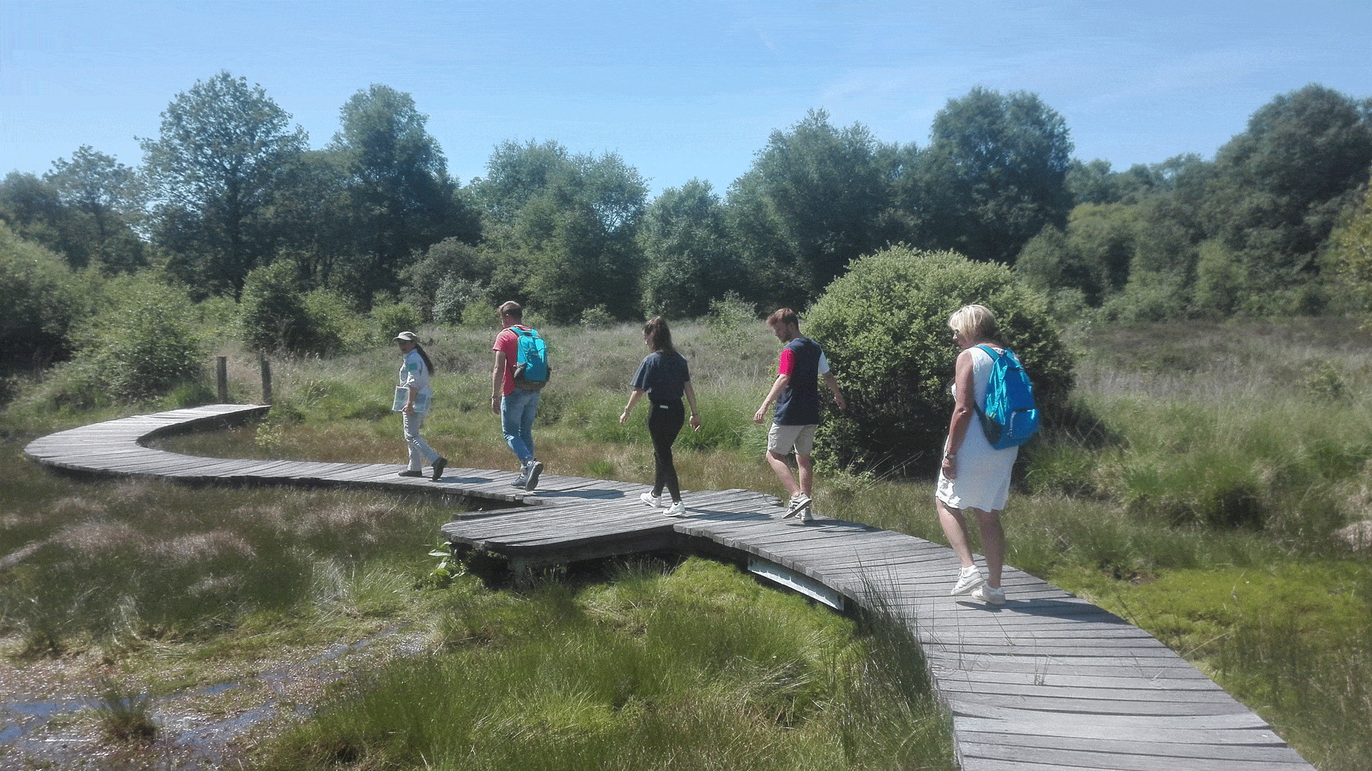 Sur la Réserve naturelle régionale des landes et marais de Glomel, des aménagements permettent de visiter le site tout en le respectant.