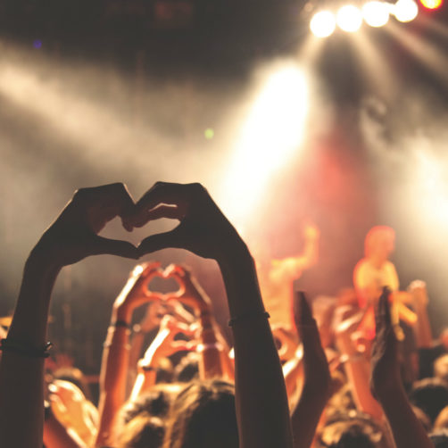 personnes à un concert