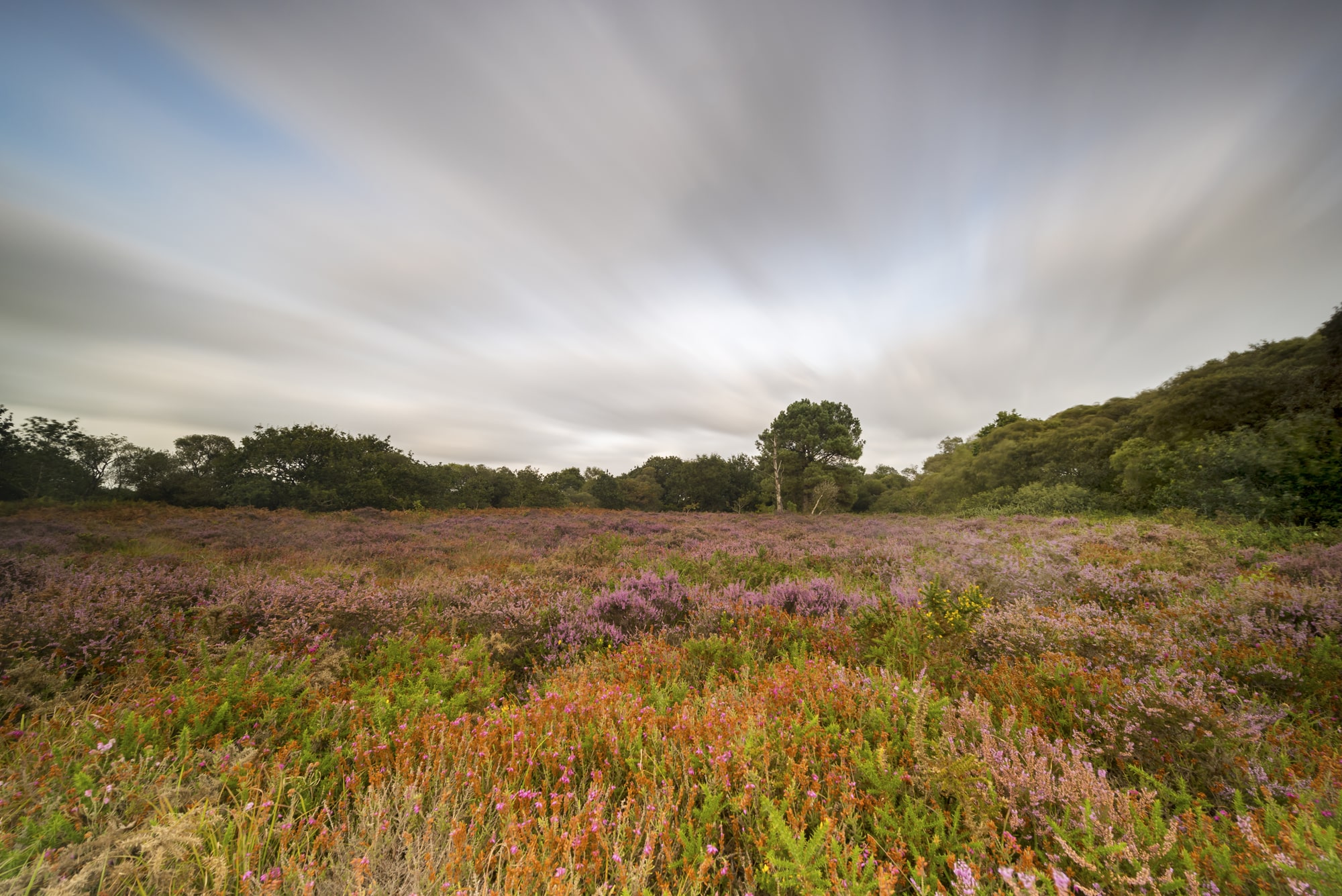 Vue sur la zone humide de Langazel dans le Finistère