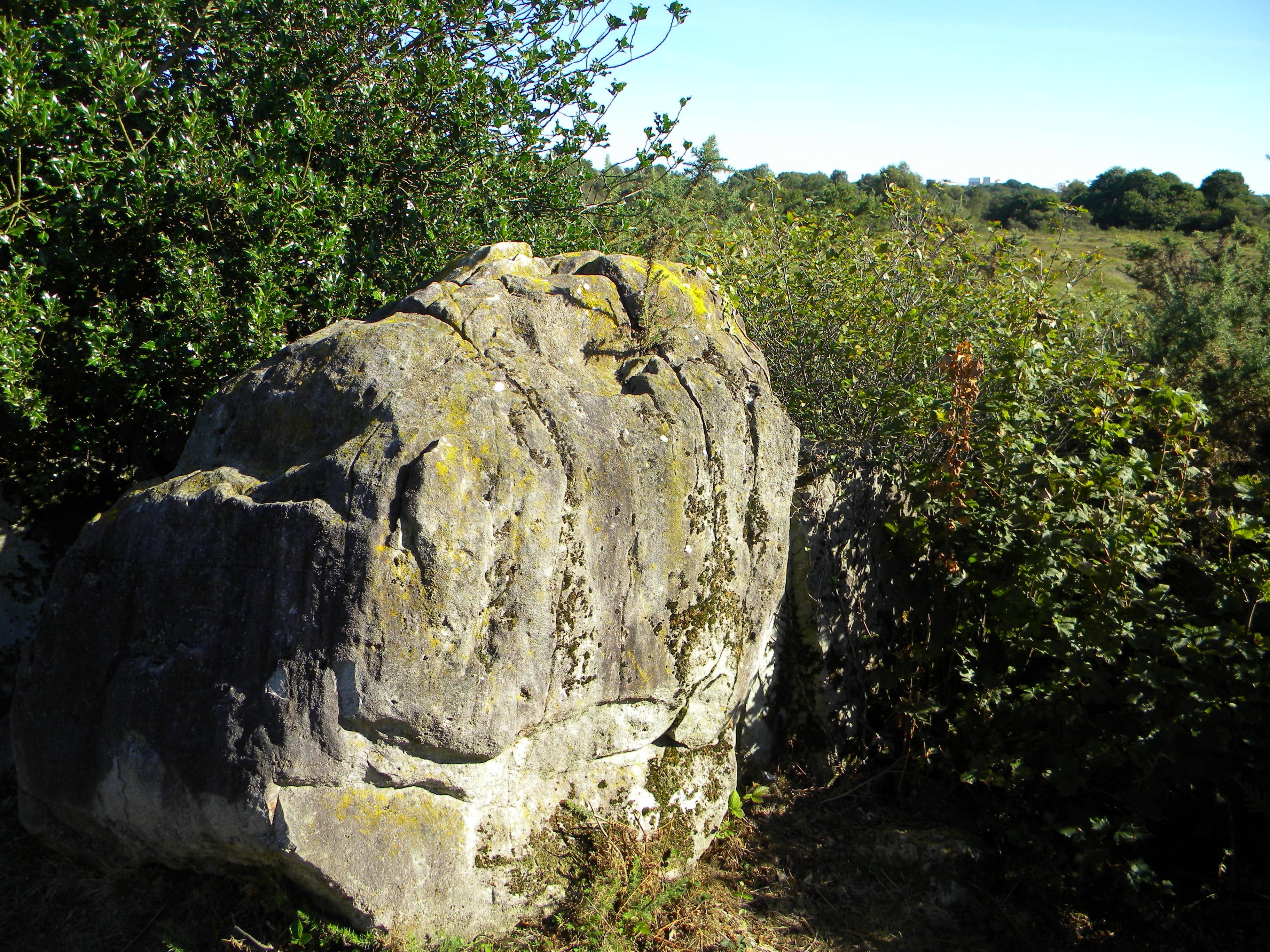 Vue sur le massif de gabbro de Trégomar, dans les landes de La Poterie dans les Côtes d'Armor