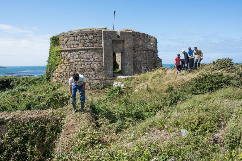 Débroussailler avant de restaurer (Fort Cézon)