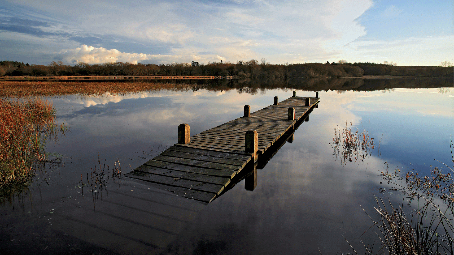L'étang du Moulin neuf est le site le plus connu de la Réserve naturelle régionale de Plounérin.