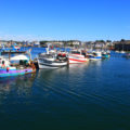 Alignement de bâteaux de pêche dans le port de Concarneau