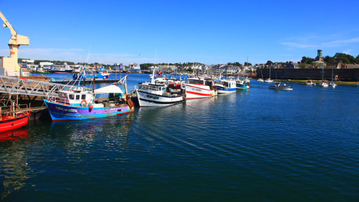 Alignement de bâteaux de pêche dans le port de Concarneau