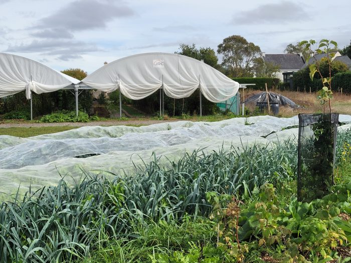photo de la serre et rangs de légumes de l'exploitation maraichère La Garderie à Guidel (56)