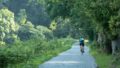 Cycliste sur le chemin de halage le long du canal du Blavet