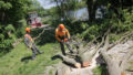 Agents régionaux entrenant le patrimoine arboré du canal