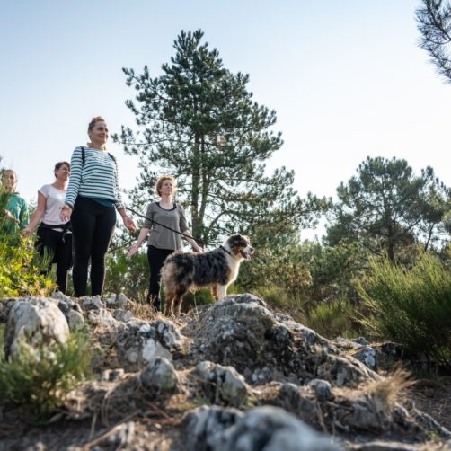 Yoga en forêt avec Yogiwalkie