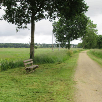 Banc dans une zone fraîchement fauchée le long du canal (voir l'image en plus grand)