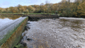 Vue du canal de Nantes à Brest, dan sa partie finistérienne, où le niveau d’eau a été abaissé afin de favoriser la remontée des poissons migrateurs vers le lieu de reproduction