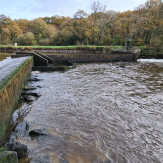 Vue du canal de Nantes à Brest, dan sa partie finistérienne, où le niveau d’eau a été abaissé afin de favoriser la remontée des poissons migrateurs vers le lieu de reproduction (voir l'image en plus grand)