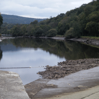 Vue du canal de Nantes à Brest, dan sa partie finistérienne, où le niveau d’eau a été abaissé afin de favoriser la remontée des poissons migrateurs vers le lieu de reproduction (voir l'image en plus grand)