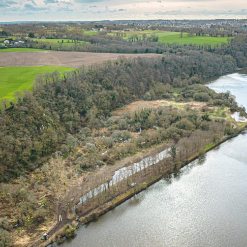 Chantier de d'abattage et débardage de 40 peupliers sur le marais de Chantoiseau en bordure de Rance (voir l'image en plus grand)