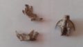 Restes osseux retrouvés dans des pelotes de réjection - ici campagnol amphibie