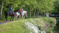 Légende - Résumé : Chevaux et attelage le long du canal de Nantes à Brest (l'Oust), entre l'écluse de Josselin et l'écluse de Saint-Jouan