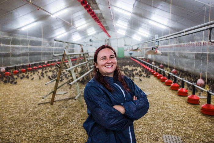 Reportage photos à Poullaouen chez Adrien Scouarnec (elevage bovin) et sa compagne Alexandra (ovins et volailles)